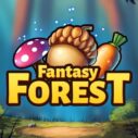 Fantasy Forest 2 2 fantasy forest 2 1
