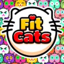 Fit Cats 10 fit cats 1