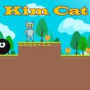 Kim Cat 6 kim cat