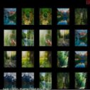 memorize nature 2 memorize nature