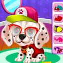 My Puppy Daycare Salon 9 my puppy daycare salon 2
